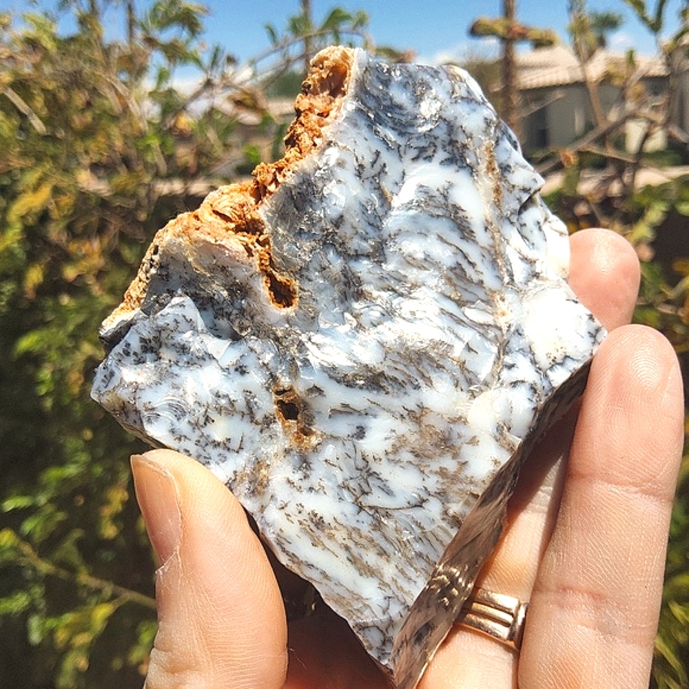 Semi Polished Beautiful Dendritic Opal Slab